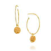 Hoop Loop Earrings in gold